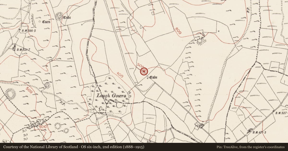 Ordnance Survey six-inch map, 2nd edition (1888–1915) covering the location of House - 18th/19th century, Treanmacmurtagh, County Sligo, with a pin at the register's coordinates