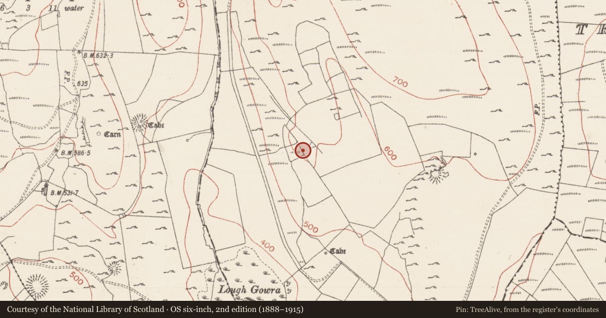 Ordnance Survey six-inch map, 2nd edition (1888–1915) covering the location of Field system, Treanmacmurtagh, County Sligo, with a pin at the register's coordinates