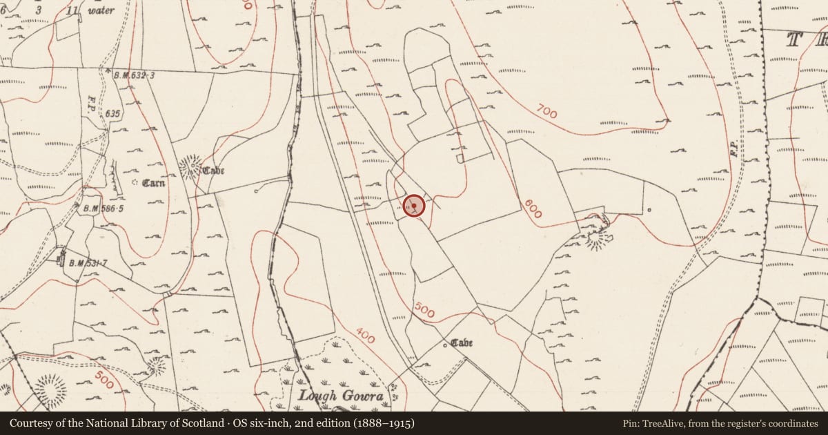 Ordnance Survey six-inch map, 2nd edition (1888–1915) covering the location of Souterrain, Treanmacmurtagh, County Sligo, with a pin at the register's coordinates