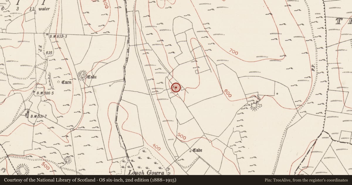 Ordnance Survey six-inch map, 2nd edition (1888–1915) covering the location of Cultivation ridges, Treanmacmurtagh, County Sligo, with a pin at the register's coordinates
