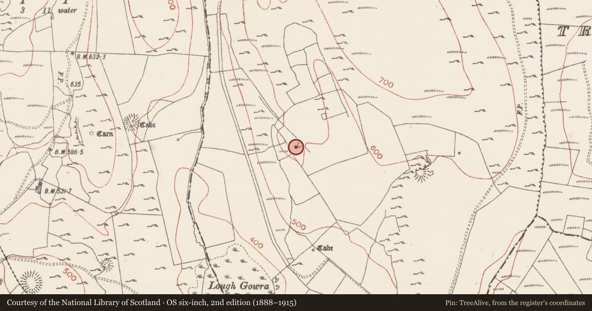 Ordnance Survey six-inch map, 2nd edition (1888–1915) covering the location of Enclosure, Treanmacmurtagh, County Sligo, with a pin at the register's coordinates