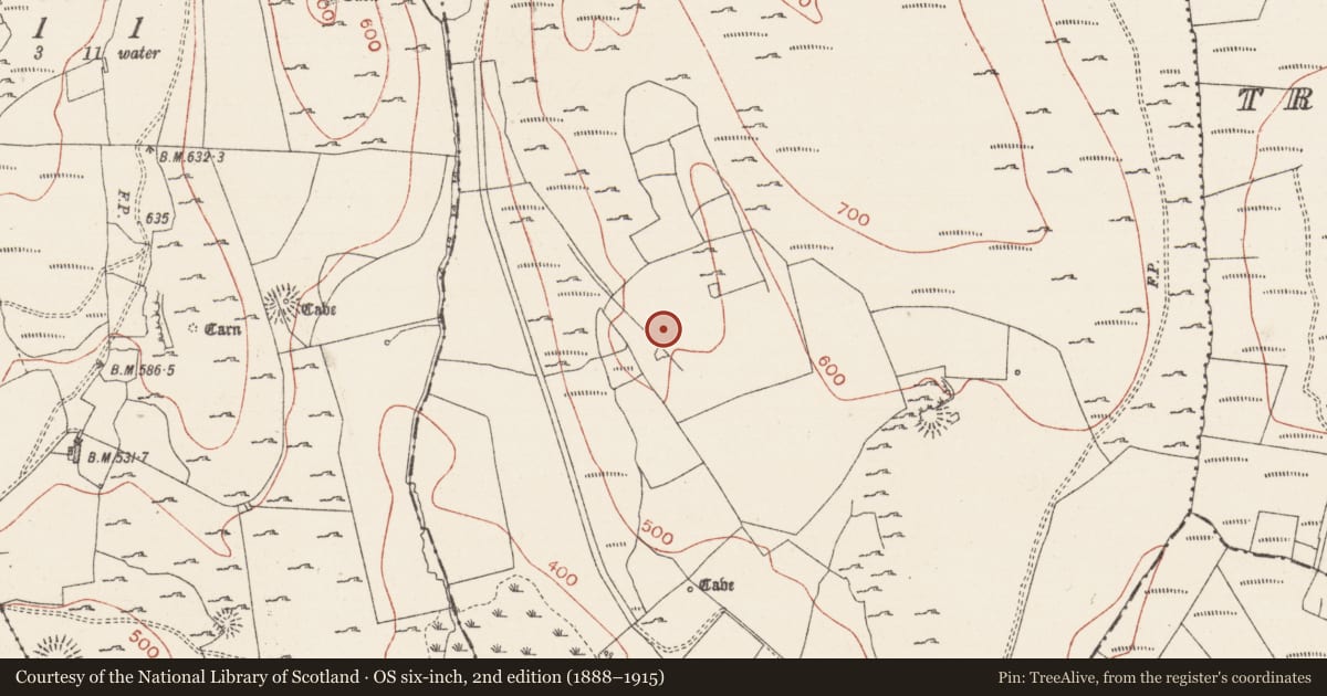 Ordnance Survey six-inch map, 2nd edition (1888–1915) covering the location of House - 18th/19th century, Treanmacmurtagh, County Sligo, with a pin at the register's coordinates