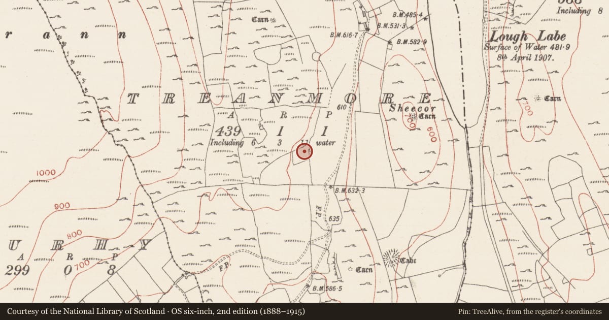 Ordnance Survey six-inch map, 2nd edition (1888–1915) covering the location of House - 18th/19th century, Treanmore, County Sligo, with a pin at the register's coordinates