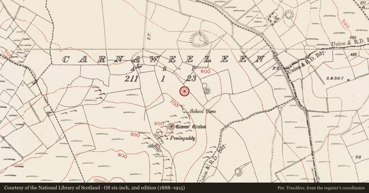 Ordnance Survey six-inch map, 2nd edition (1888–1915) covering the location of House - 18th/19th century, Carnaweeleen, County Sligo, with a pin at the register's coordinates