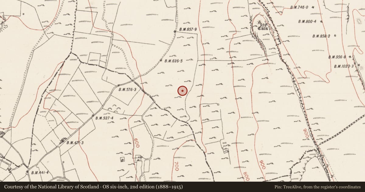 Ordnance Survey six-inch map, 2nd edition (1888–1915) covering the location of House - 18th/19th century, Treanscrabbagh, County Sligo, with a pin at the register's coordinates