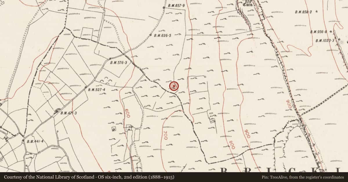 Ordnance Survey six-inch map, 2nd edition (1888–1915) covering the location of Kiln - lime, Treanscrabbagh, County Sligo, with a pin at the register's coordinates