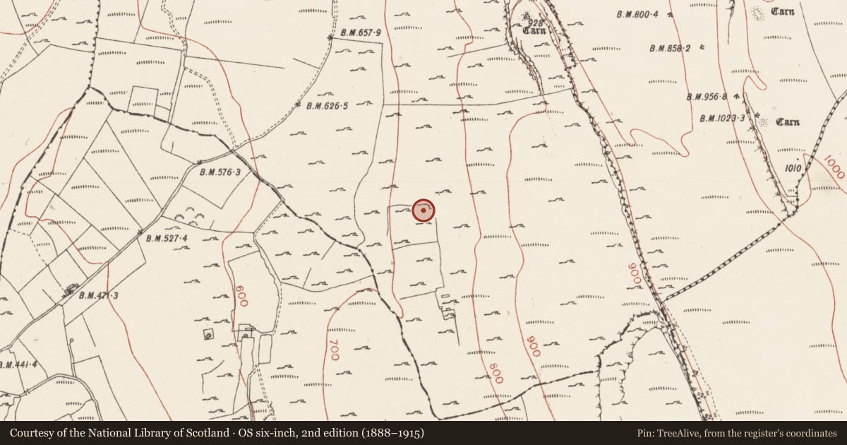 Ordnance Survey six-inch map, 2nd edition (1888–1915) covering the location of House - 18th/19th century, Treanscrabbagh, County Sligo, with a pin at the register's coordinates