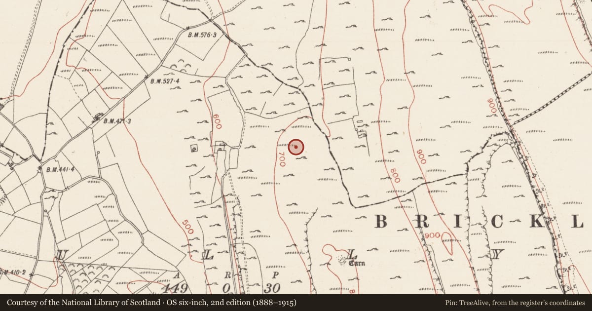 Ordnance Survey six-inch map, 2nd edition (1888–1915) covering the location of Hut site, Tully, County Sligo, with a pin at the register's coordinates
