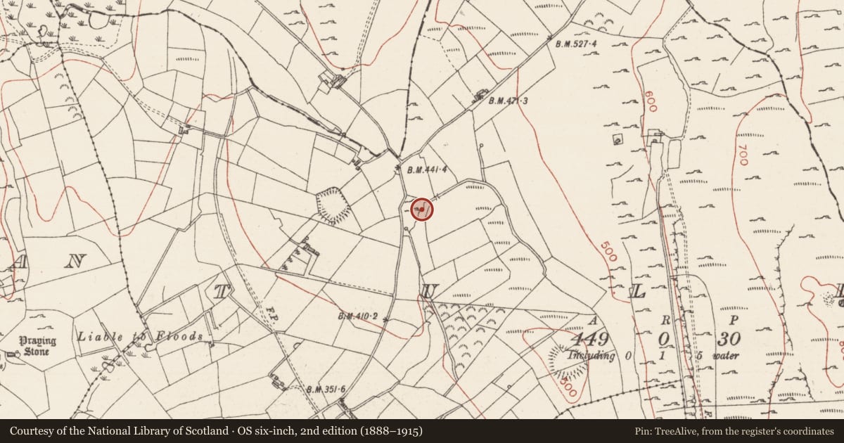 Ordnance Survey six-inch map, 2nd edition (1888–1915) covering the location of Kiln - lime, Tully, County Sligo, with a pin at the register's coordinates