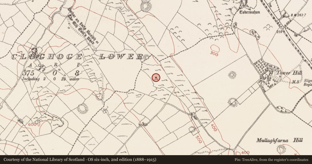 Ordnance Survey six-inch map, 2nd edition (1888–1915) covering the location of Megalithic tomb - unclassified, Carrowkeel, County Sligo, with a pin at the register's coordinates