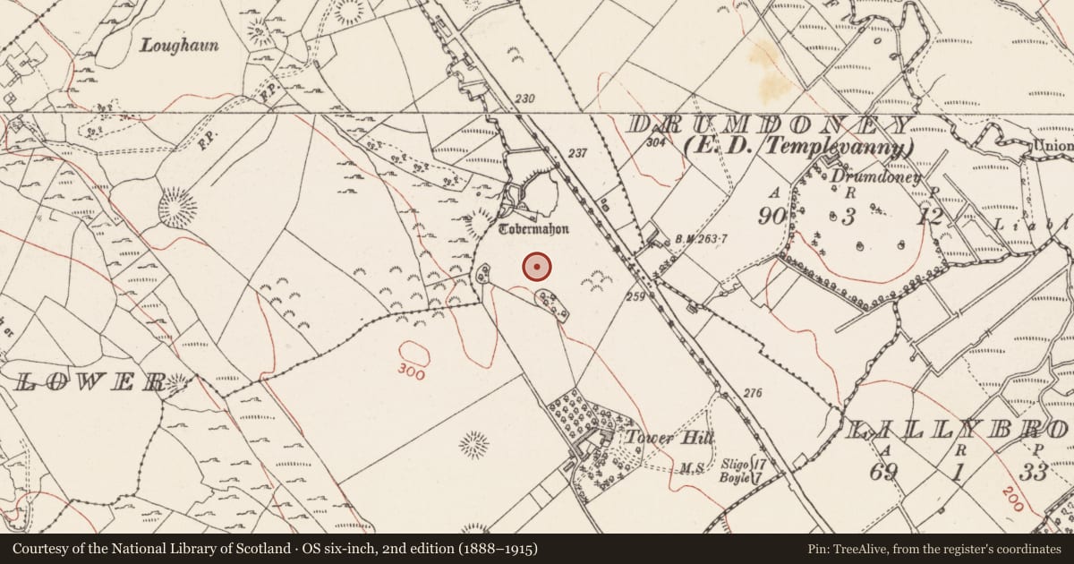 Ordnance Survey six-inch map, 2nd edition (1888–1915) covering the location of Fulacht fia, Carrowkeel, County Sligo, with a pin at the register's coordinates