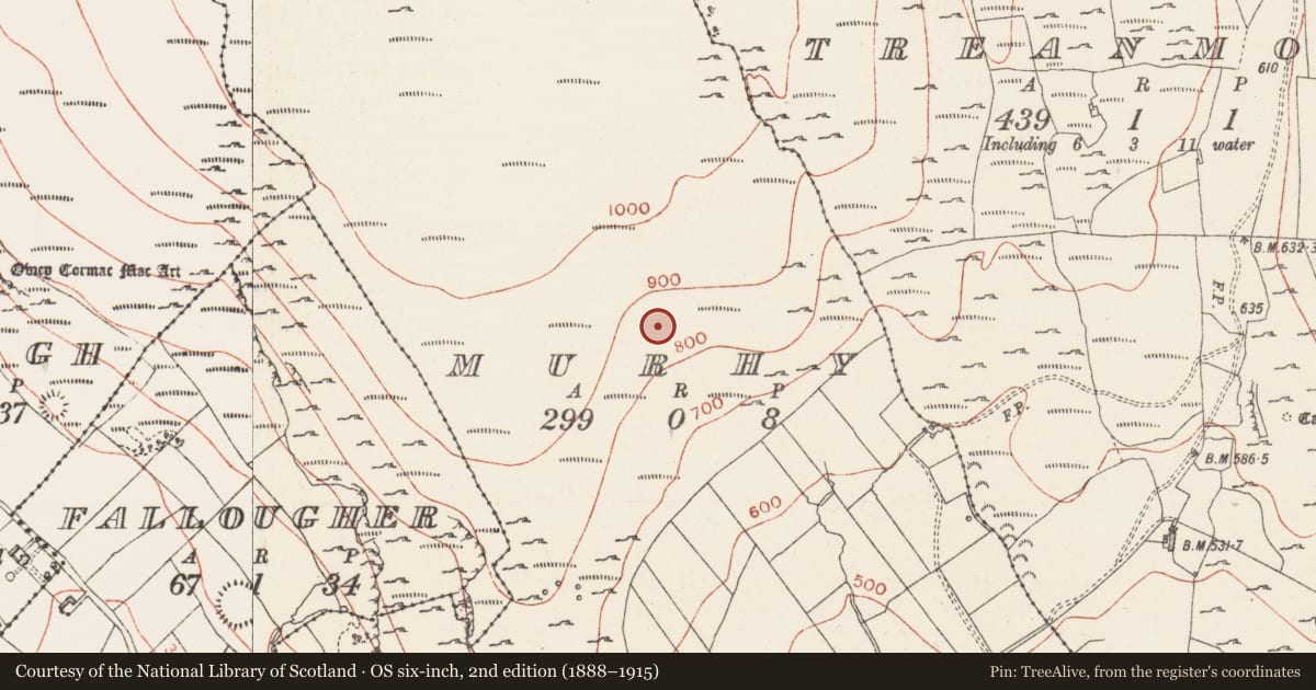 Ordnance Survey six-inch map, 2nd edition (1888–1915) covering the location of Megalithic tomb - wedge tomb, Murhy, County Sligo, with a pin at the register's coordinates