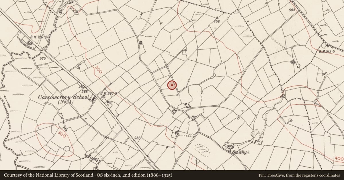 Ordnance Survey six-inch map, 2nd edition (1888–1915) covering the location of Crannog, Carrowcrory, County Sligo, with a pin at the register's coordinates