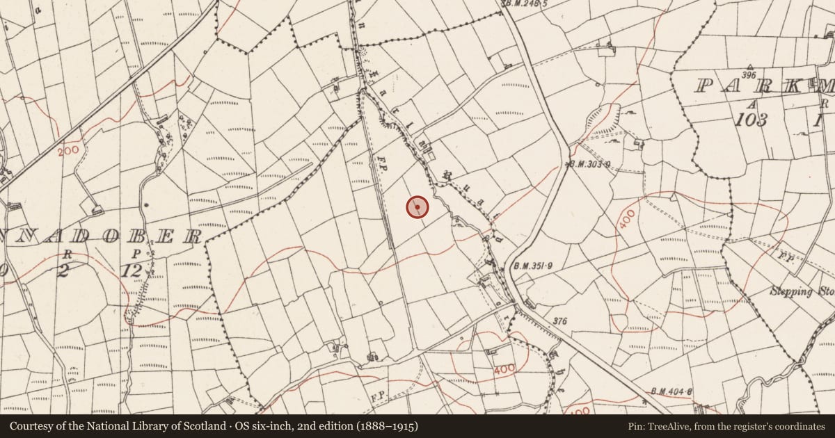 Ordnance Survey six-inch map, 2nd edition (1888–1915) covering the location of Fulacht fia, Ballaghboy, County Sligo, with a pin at the register's coordinates