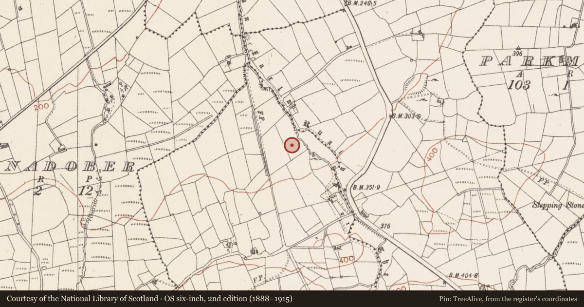 Ordnance Survey six-inch map, 2nd edition (1888–1915) covering the location of Burnt mound, Ballaghboy, County Sligo, with a pin at the register's coordinates
