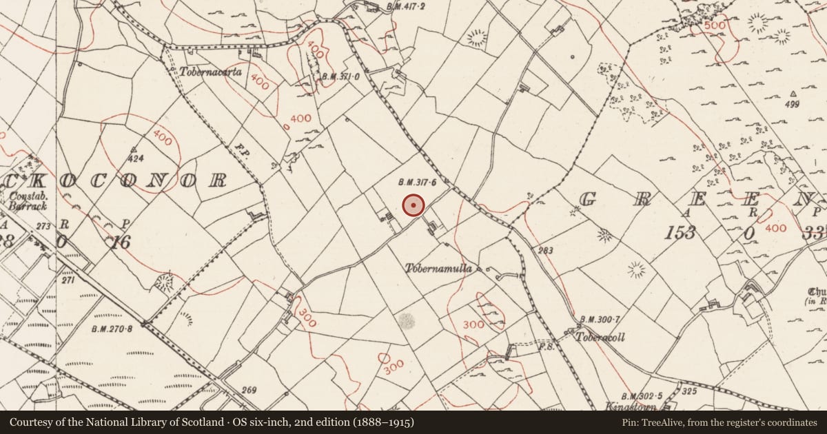 Ordnance Survey six-inch map, 2nd edition (1888–1915) covering the location of Barrow - mound barrow, Toomour, County Sligo, with a pin at the register's coordinates