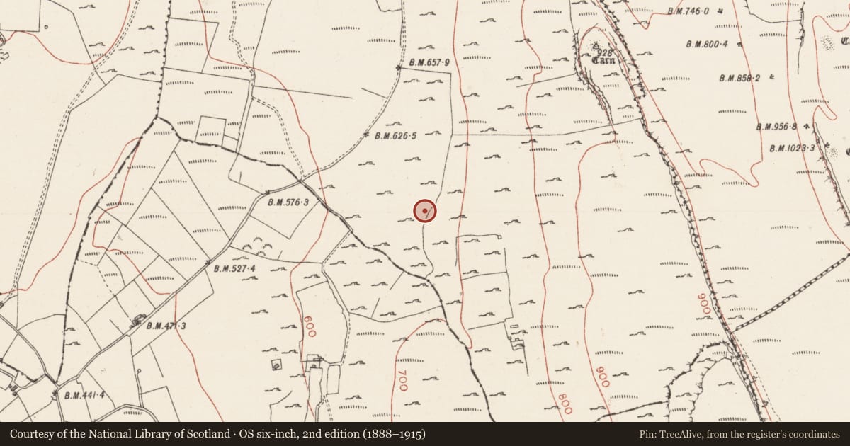 Ordnance Survey six-inch map, 2nd edition (1888–1915) covering the location of Enclosure, Treanscrabbagh, County Sligo, with a pin at the register's coordinates