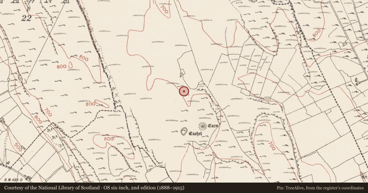 Ordnance Survey six-inch map, 2nd edition (1888–1915) covering the location of Enclosure, Carricknahorna West, County Sligo, with a pin at the register's coordinates