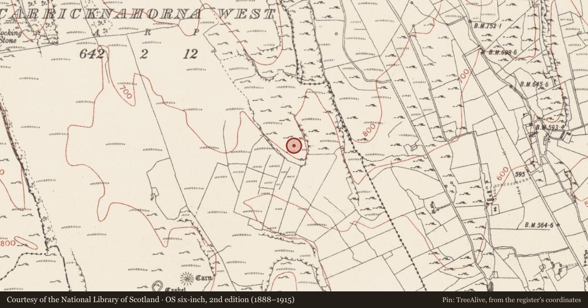Ordnance Survey six-inch map, 2nd edition (1888–1915) covering the location of Enclosure, Carricknahorna West, County Sligo, with a pin at the register's coordinates