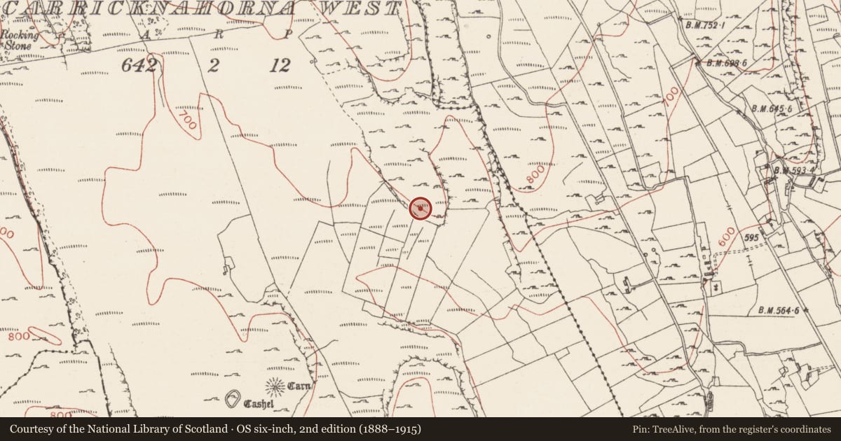 Ordnance Survey six-inch map, 2nd edition (1888–1915) covering the location of Enclosure, Carricknahorna West, County Sligo, with a pin at the register's coordinates