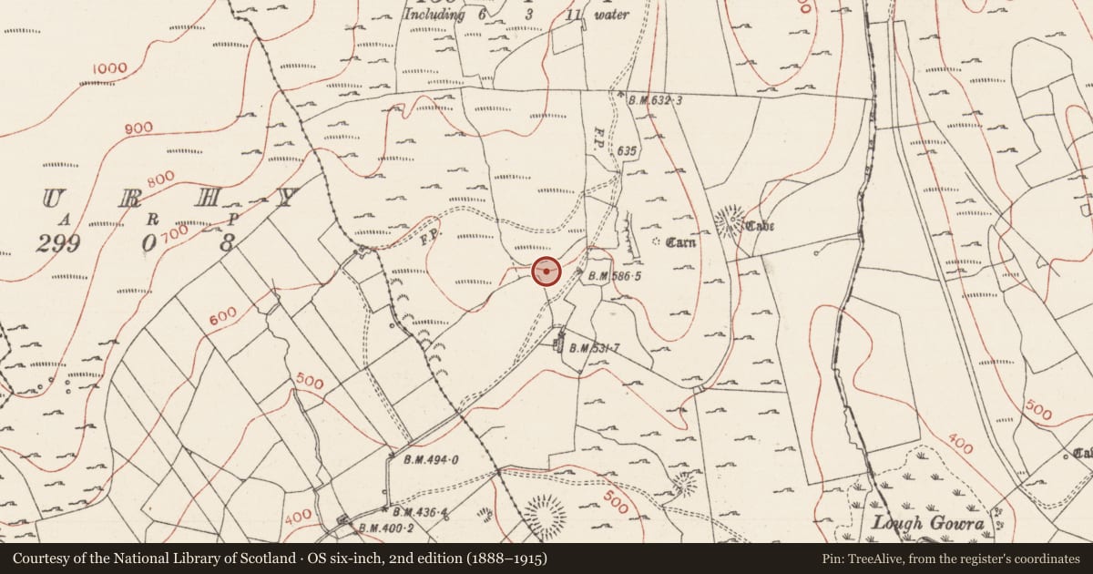 Ordnance Survey six-inch map, 2nd edition (1888–1915) covering the location of Enclosure, Treanmore, County Sligo, with a pin at the register's coordinates