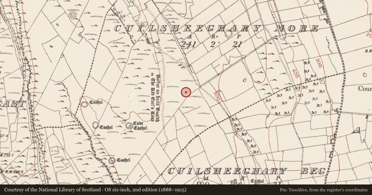 Ordnance Survey six-inch map, 2nd edition (1888–1915) covering the location of Ringfort - cashel, Cuilsheeghary More, County Sligo, with a pin at the register's coordinates