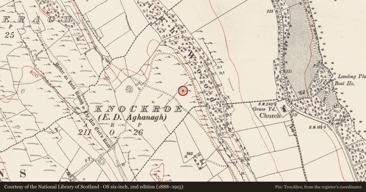Ordnance Survey six-inch map, 2nd edition (1888–1915) covering the location of Enclosure, Knockroe, County Sligo, with a pin at the register's coordinates