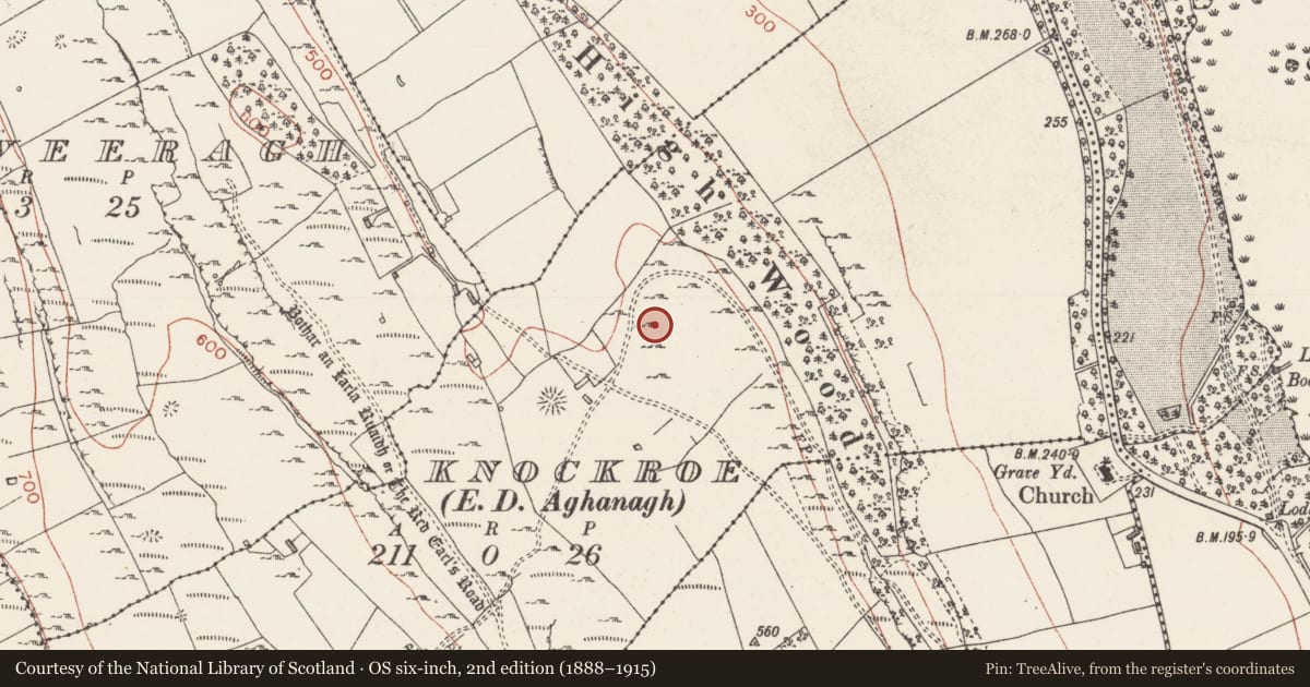 Ordnance Survey six-inch map, 2nd edition (1888–1915) covering the location of Hut site, Knockroe, County Sligo, with a pin at the register's coordinates