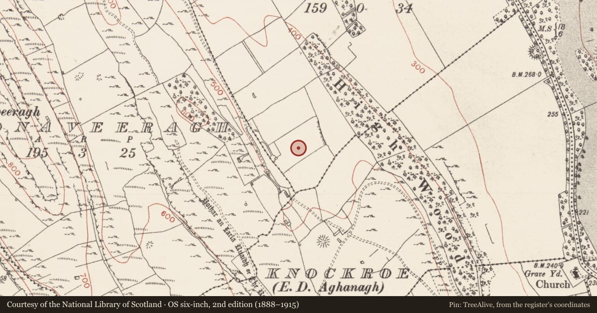 Ordnance Survey six-inch map, 2nd edition (1888–1915) covering the location of Enclosure, Knockroe, County Sligo, with a pin at the register's coordinates