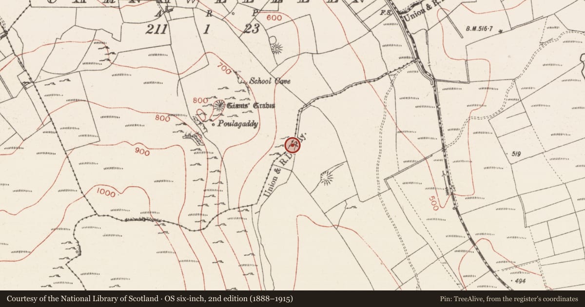 Ordnance Survey six-inch map, 2nd edition (1888–1915) covering the location of Burnt mound, Treanmore, County Sligo, with a pin at the register's coordinates