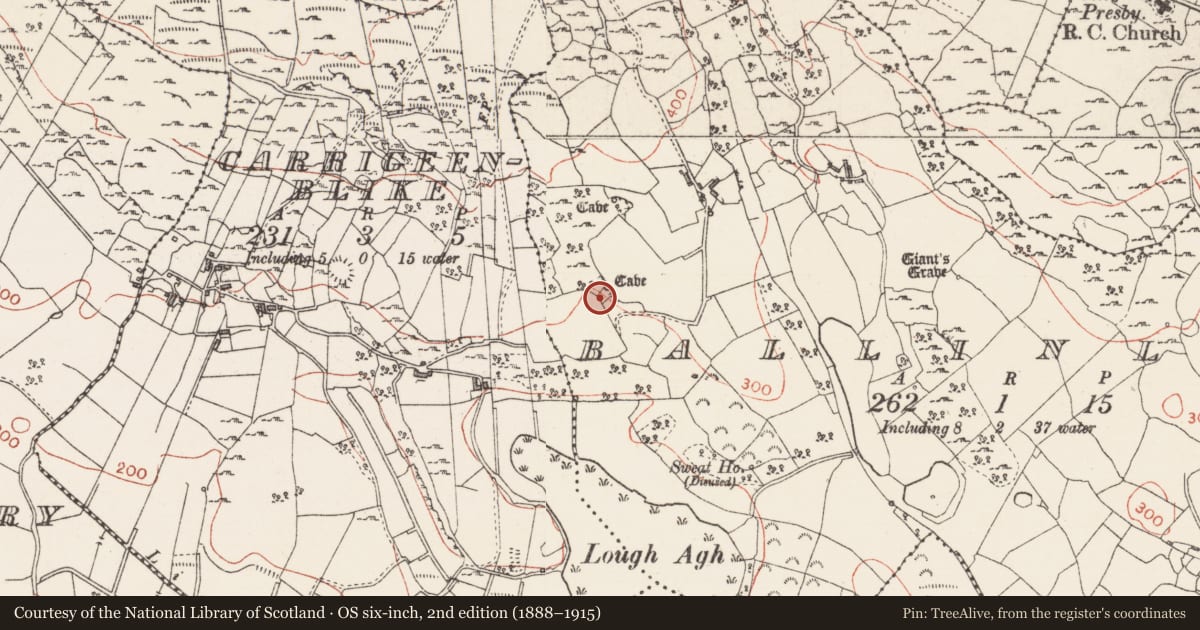Ordnance Survey six-inch map, 2nd edition (1888–1915) covering the location of Souterrain, Ballinlig, County Sligo, with a pin at the register's coordinates