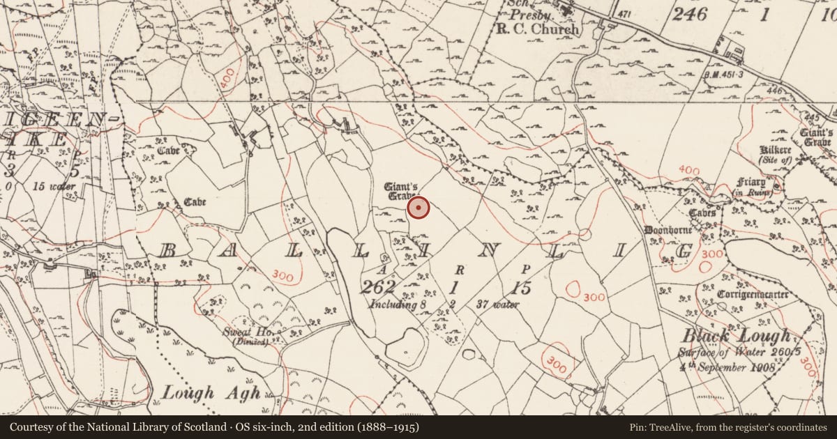 Ordnance Survey six-inch map, 2nd edition (1888–1915) covering the location of Megalithic tomb - court tomb, Ballinlig, County Sligo, with a pin at the register's coordinates
