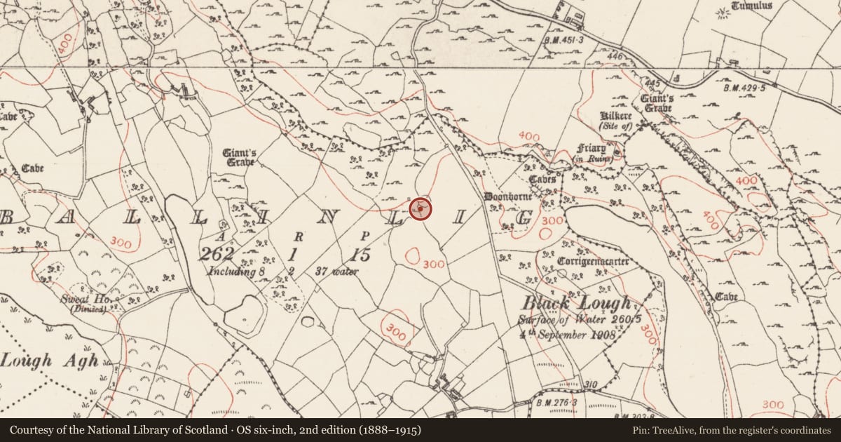 Ordnance Survey six-inch map, 2nd edition (1888–1915) covering the location of Ringfort - rath, Ballinlig, County Sligo, with a pin at the register's coordinates