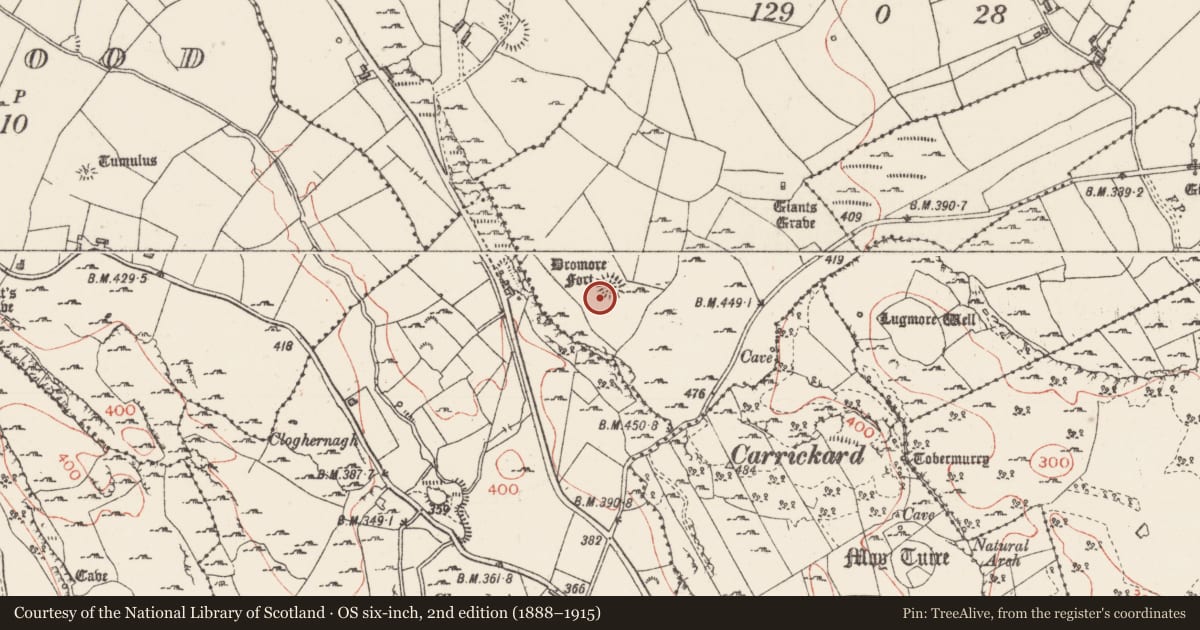 Ordnance Survey six-inch map, 2nd edition (1888–1915) covering the location of Ringfort - cashel, Treanmore, County Sligo, with a pin at the register's coordinates