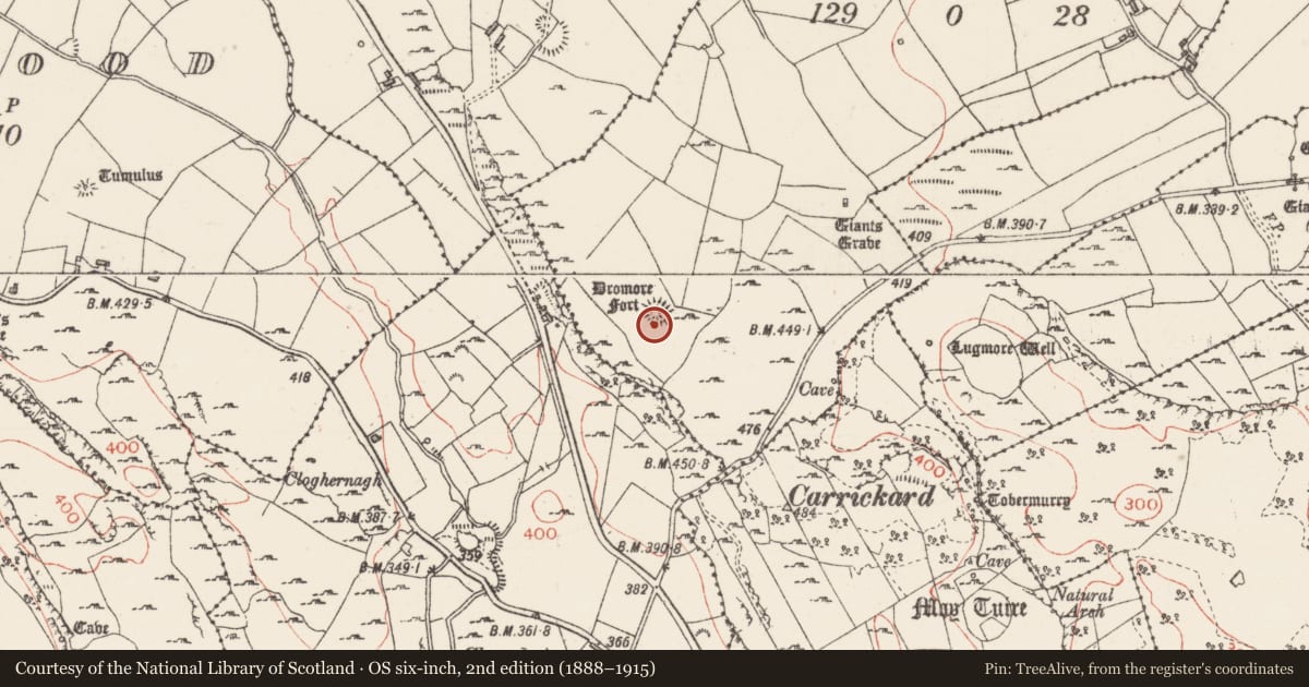 Ordnance Survey six-inch map, 2nd edition (1888–1915) covering the location of Souterrain, Treanmore, County Sligo, with a pin at the register's coordinates