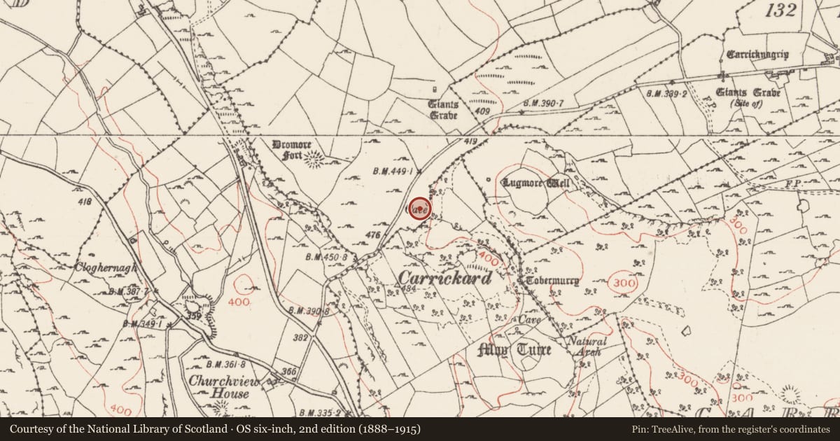 Ordnance Survey six-inch map, 2nd edition (1888–1915) covering the location of Souterrain, Treanmore, County Sligo, with a pin at the register's coordinates