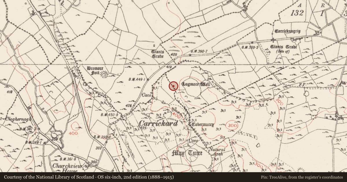 Ordnance Survey six-inch map, 2nd edition (1888–1915) covering the location of Ritual site - holy well, Carricknagrip, County Sligo, with a pin at the register's coordinates