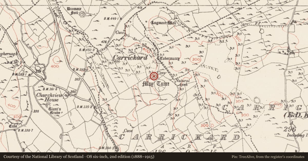 Ordnance Survey six-inch map, 2nd edition (1888–1915) covering the location of Souterrain, Carrickard, County Sligo, with a pin at the register's coordinates