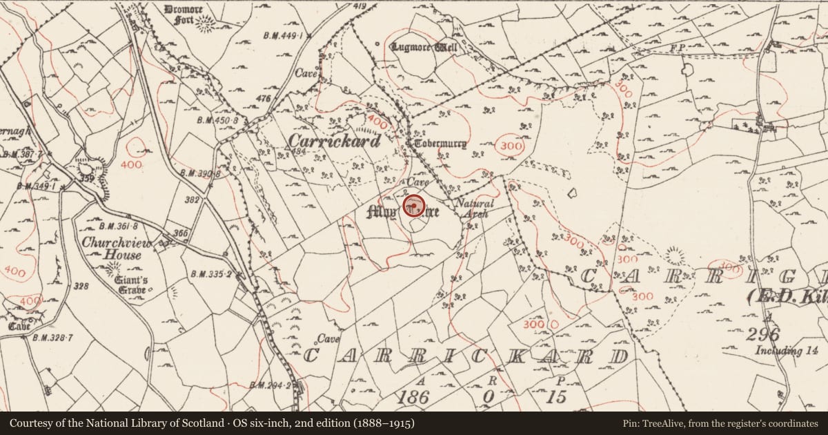 Ordnance Survey six-inch map, 2nd edition (1888–1915) covering the location of Enclosure, Carrickard, County Sligo, with a pin at the register's coordinates