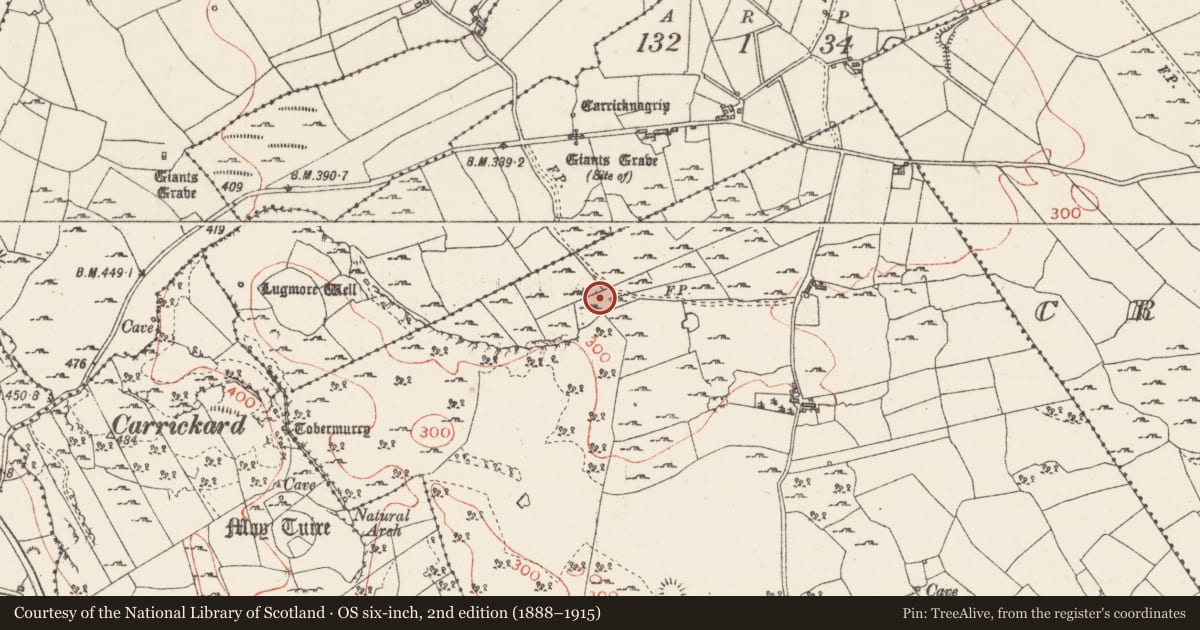 Ordnance Survey six-inch map, 2nd edition (1888–1915) covering the location of Ringfort - rath, Carrigeenboy, County Sligo, with a pin at the register's coordinates