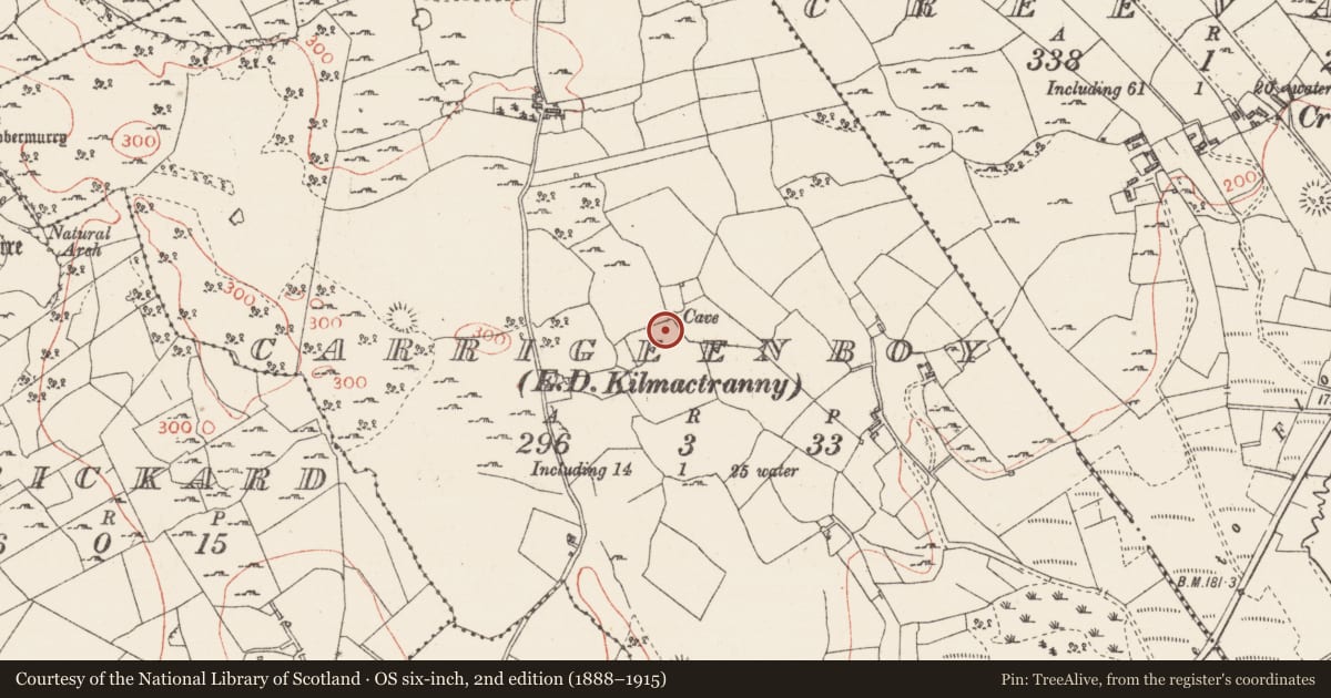 Ordnance Survey six-inch map, 2nd edition (1888–1915) covering the location of Souterrain, Carrigeenboy, County Sligo, with a pin at the register's coordinates