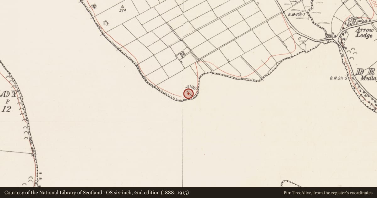 Ordnance Survey six-inch map, 2nd edition (1888–1915) covering the location of Enclosure, Annaghgowan, County Sligo, with a pin at the register's coordinates