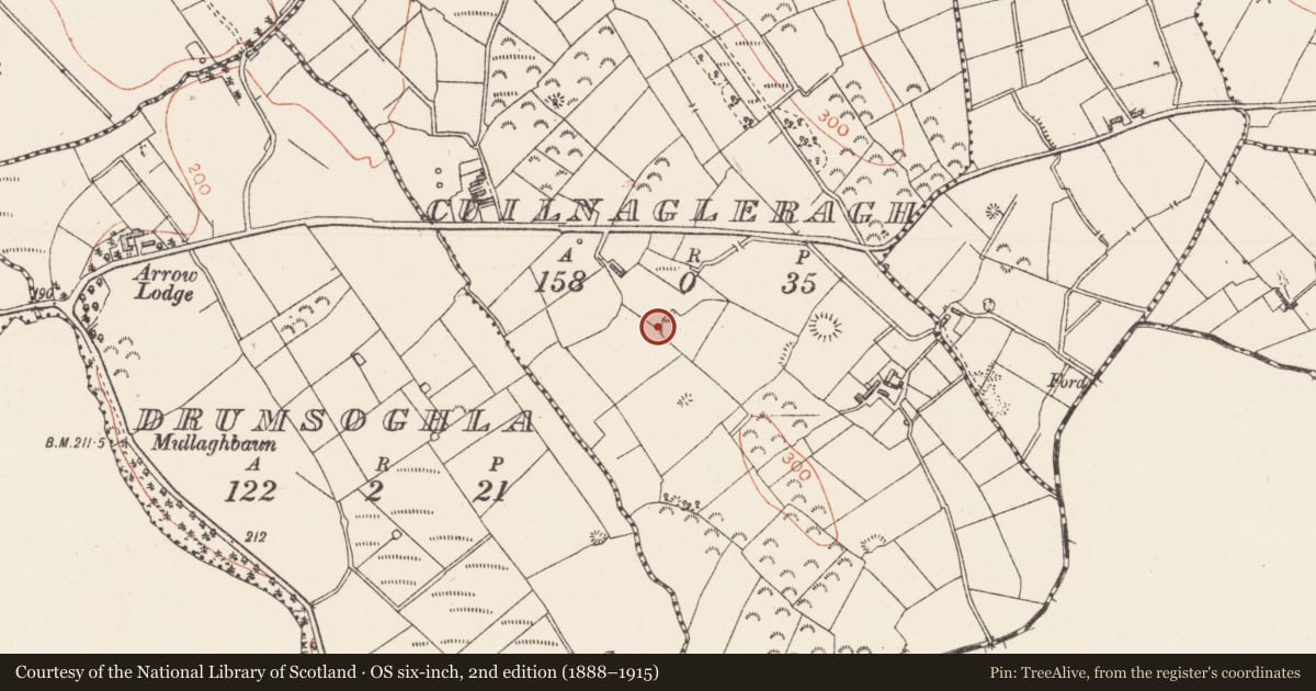 Ordnance Survey six-inch map, 2nd edition (1888–1915) covering the location of Quarry, Cuilnagleragh, County Sligo, with a pin at the register's coordinates