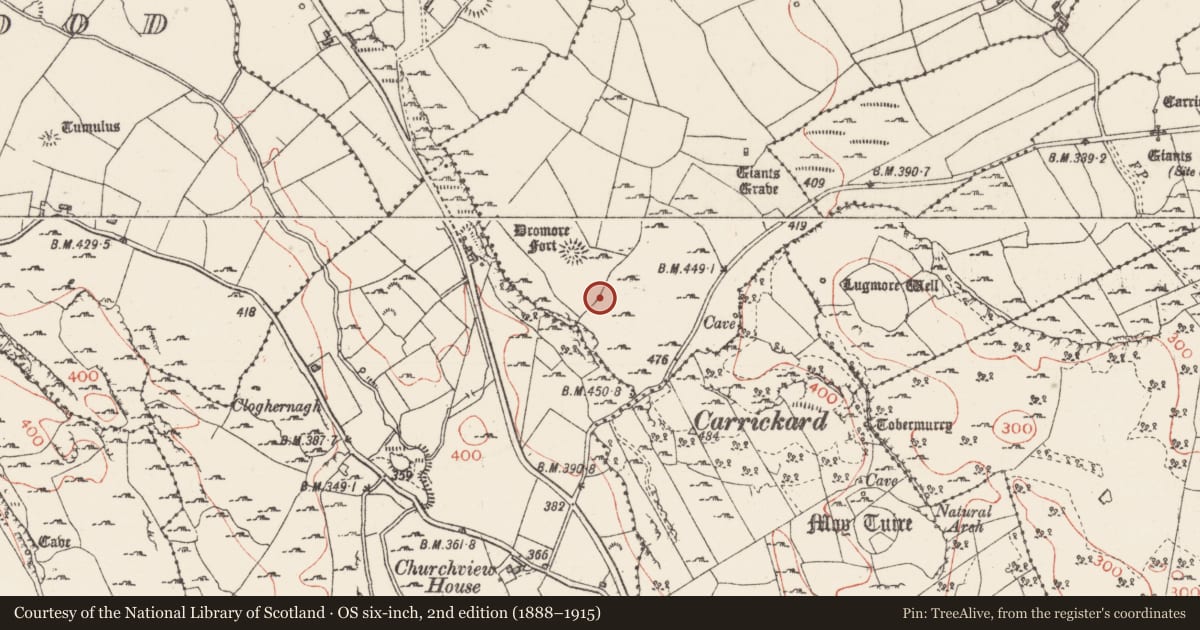 Ordnance Survey six-inch map, 2nd edition (1888–1915) covering the location of Cairn - unclassified, Treanmore, County Sligo, with a pin at the register's coordinates