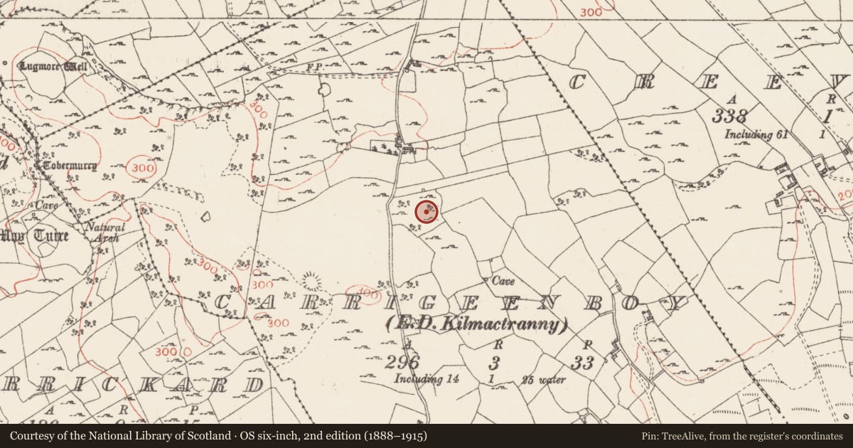 Ordnance Survey six-inch map, 2nd edition (1888–1915) covering the location of Ringfort - cashel, Carrigeenboy, County Sligo, with a pin at the register's coordinates