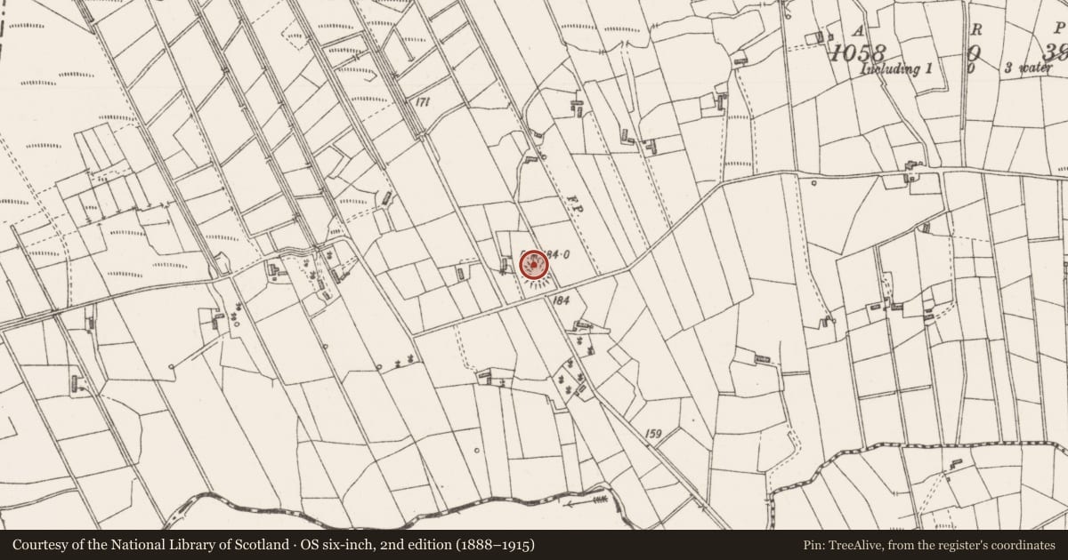 Ordnance Survey six-inch map, 2nd edition (1888–1915) covering the location of Barrow - ring-barrow, Coolrawer, County Sligo, with a pin at the register's coordinates