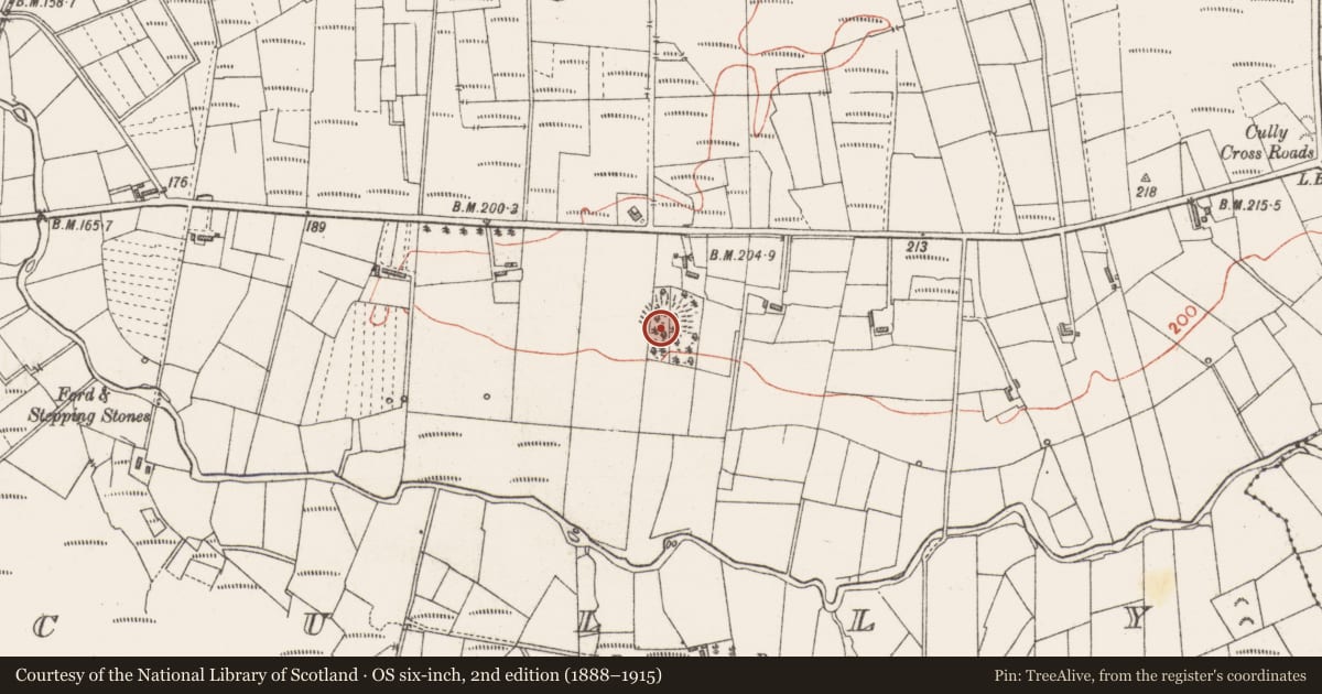 Ordnance Survey six-inch map, 2nd edition (1888–1915) covering the location of Ringfort - rath, Cully, County Sligo, with a pin at the register's coordinates