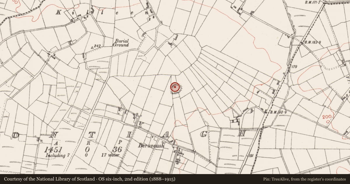 Ordnance Survey six-inch map, 2nd edition (1888–1915) covering the location of Ringfort - rath, Montiagh, County Sligo, with a pin at the register's coordinates
