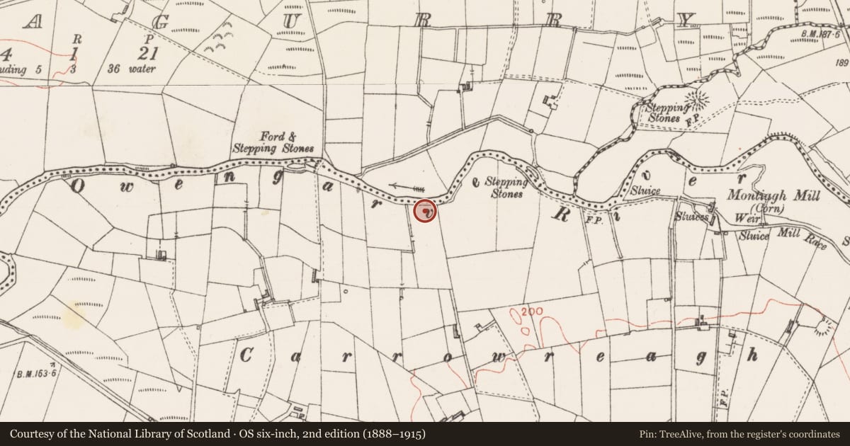Ordnance Survey six-inch map, 2nd edition (1888–1915) covering the location of Enclosure, Montiagh, County Sligo, with a pin at the register's coordinates