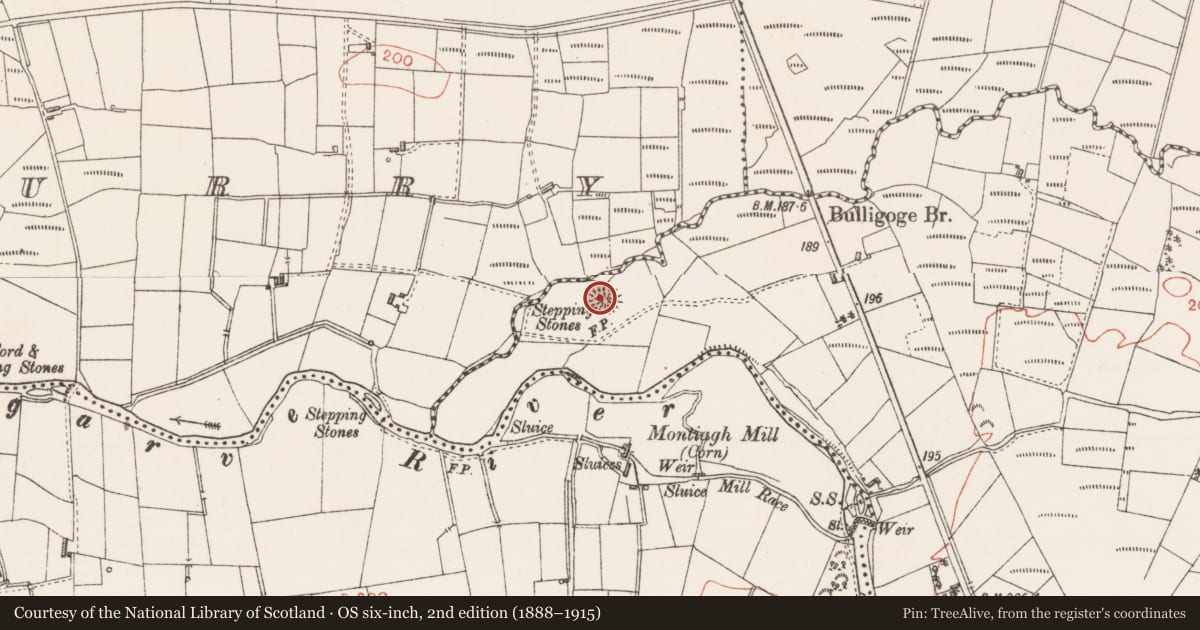 Ordnance Survey six-inch map, 2nd edition (1888–1915) covering the location of Ringfort - rath, Drumbaun, County Sligo, with a pin at the register's coordinates